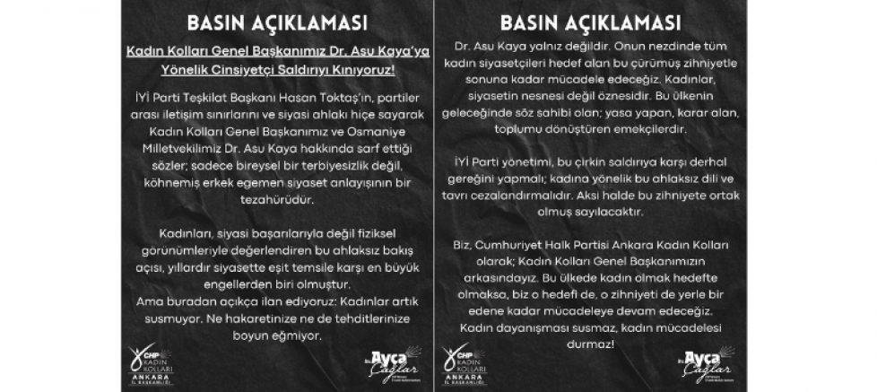ANKARA KADIN KOLLARI BAŞKANI AYÇA ÇAĞLAR: “ASU KAYA YALNIZ DEĞİLDİR, CİNSİYETÇİ SALDIRIYI KINIYORUZ” - GÜNDEM - İnternetin Ajansı