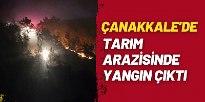 Çanakkale’de Tarım Arazisinde Yangın Çıktı