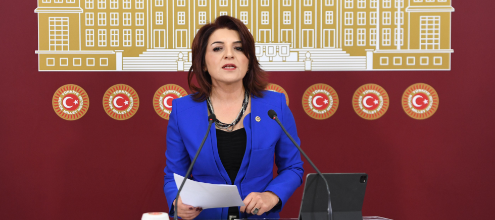 CHP Mersin Milletvekili Gülcan Kış’tan Sert Uyarı: “AKP’nin Sit Alanlarını İmara Açmasına Burada İzin Vermeyeceğiz!  - SİYASET - İnternetin Ajansı