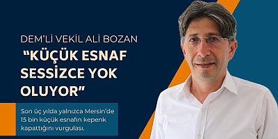 DEM’li Vekil Bozan’dan Ekonomi Alarmı: “Küçük Esnaf Sessizce Yok Oluyor”