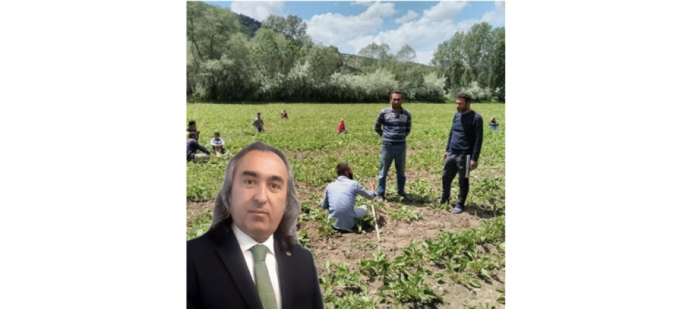 GELECEK PARTİSİ YOZGAT İL BAŞKANI ÖMER AYDOĞMUŞ: “SORGUN TÜRK ŞEKER FABRİKASI, ÇİFTÇİYE ZULMEDİYOR!” - GÜNDEM - İnternetin Ajansı