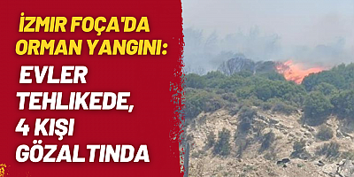 İzmir Foça'da Orman Yangını: Evler Tehlikede, 4 Kişi Gözaltında