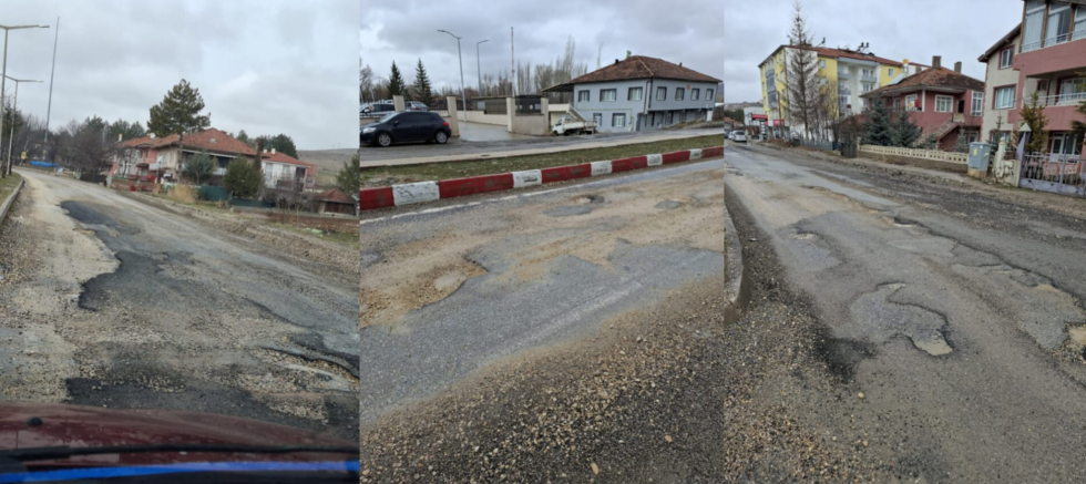 Mutullah Üstün: “Çayıralan Hiç Bu Kadar Sahipsiz Kalmamıştı” - GÜNDEM - İnternetin Ajansı