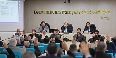 Şanlıurfa’nın Geleceği Masada: Büyükşehir Meclisi Mart Ayı Kararlarını Verdi!