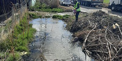 Yenimahalle’de Sivrisinek ve Karasineğe Karşı Larva Mücadelesi